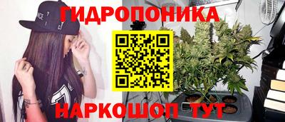 эйфоретик Дубна