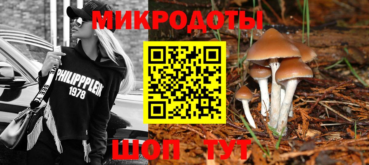 Мурино  Галлюциногенные грибы MAGIC MUSHROOMS  Вход с VPN 