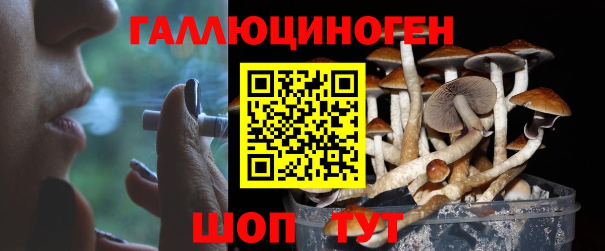 Псилоцибиновые грибы Magic Shrooms Мурино